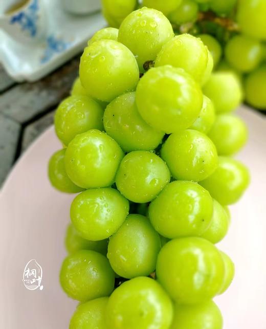 桐叶地产顶级香印晴王葡萄-是阳光亲吻过的味道 商品图0