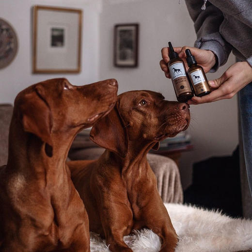 德国 里拉爱它 LILA LOVES IT护耳凝胶50ml 商品图1