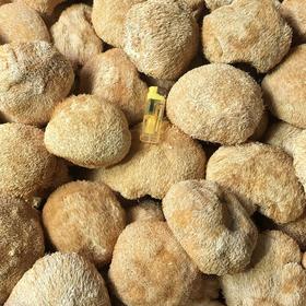 【古田无硫新货！猴头菇干货】，口感鲜美、香气扑鼻，富含营养，新鲜猴头菇干食用菌健康