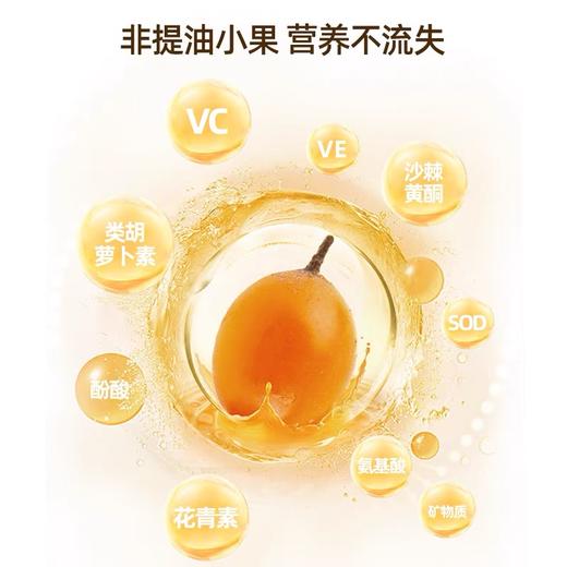 运舟味道呀啦嗦有机沙棘原浆野生小果无添加30ml*10袋 商品图2