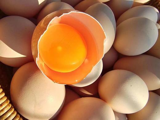 九华山 散养土鸡蛋 无农残 60枚一箱 商品图2