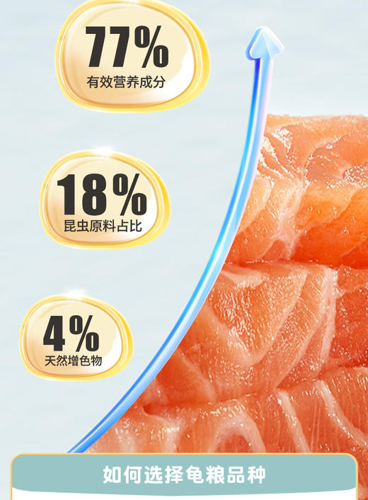 稚龟粮全新升级40%蛋白，稚龟粮 幼龟粮 成龟粮 商品图5