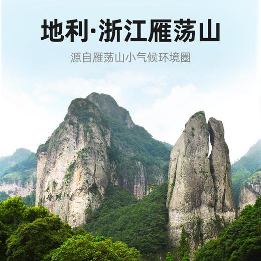 杞里香130g礼盒装铁皮石斛  雁荡山产地，5年足龄石斛高档礼盒，送礼有面 商品图3