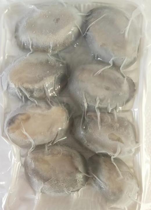 【顺丰包邮】青岛新鲜冷冻自制特产本地鲍鱼（8-9头/500g/袋  *2袋） 商品图4