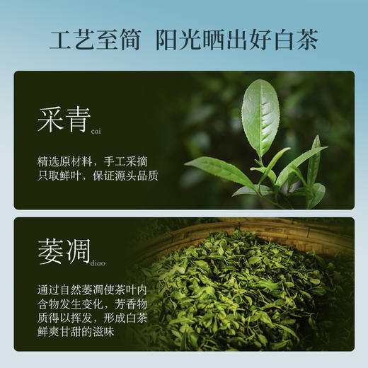华祥苑-贵宾茶特级福鼎白茶紧压贡眉160g礼盒 商品图4