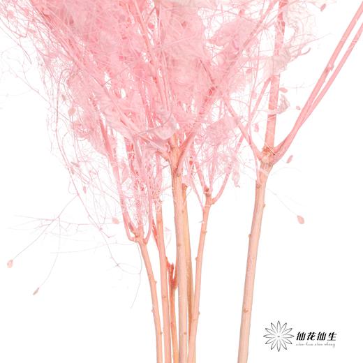 永生花材 | 雾中情人粉 商品图3