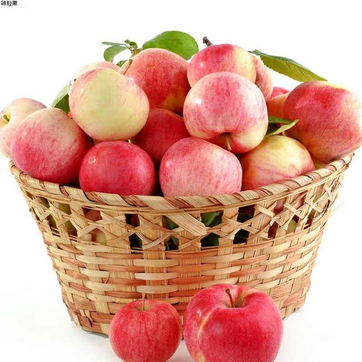 鲁丽苹果多斤装70mm+ 香脆可口 商品图0