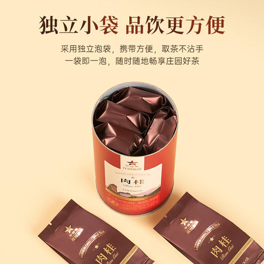 华祥苑-庄园直供茶武夷山岩茶67g肉桂 F 商品图9