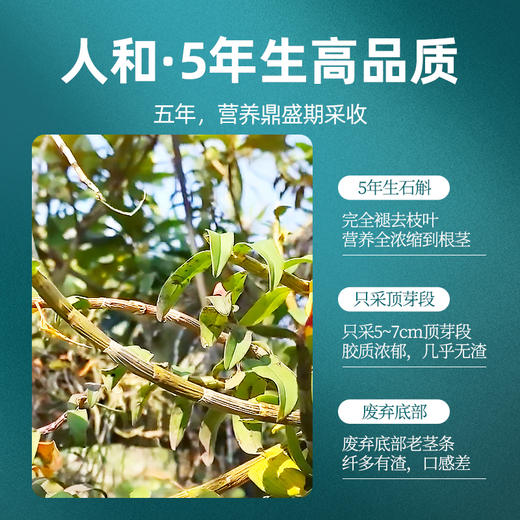 杞里香130g礼盒装铁皮石斛  雁荡山产地，5年足龄石斛高档礼盒，送礼有面 商品图5