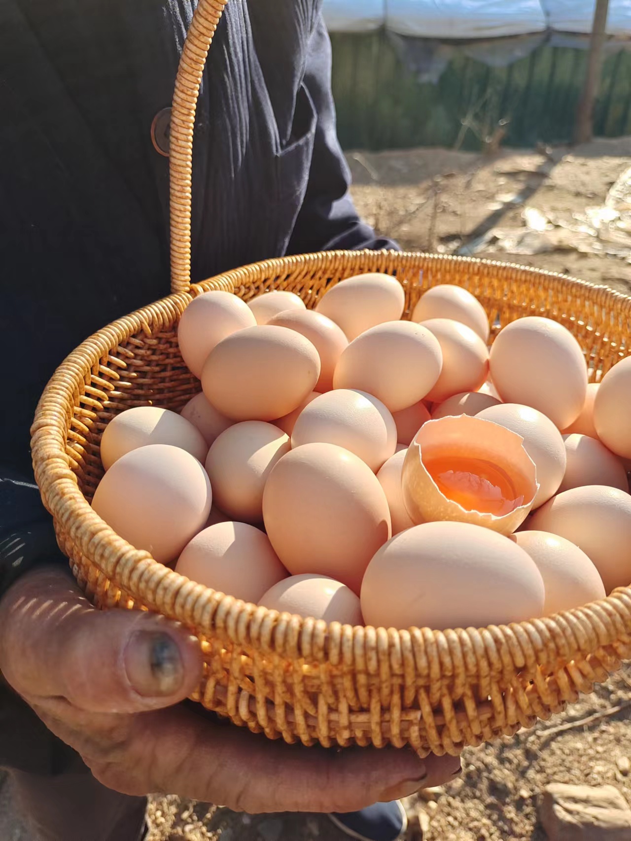 九华山 散养土鸡蛋 无农残 60枚一箱