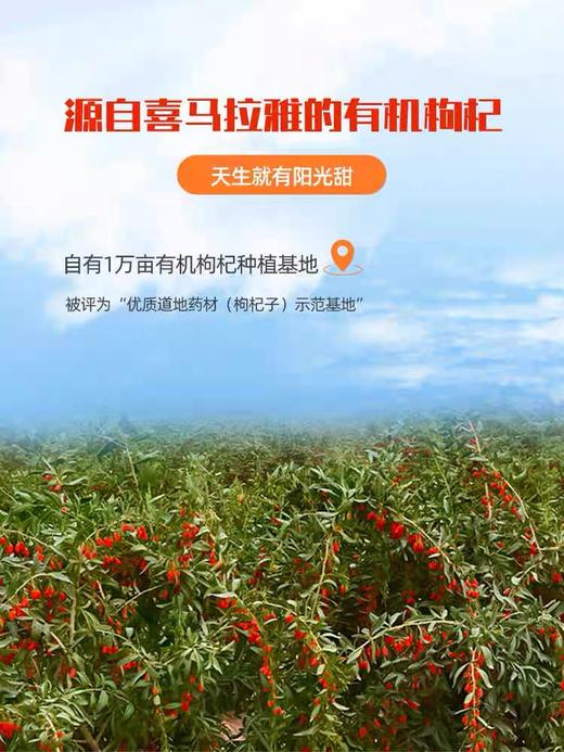 运舟味道呀啦嗦有机枸杞原浆30ml*10袋 商品图2