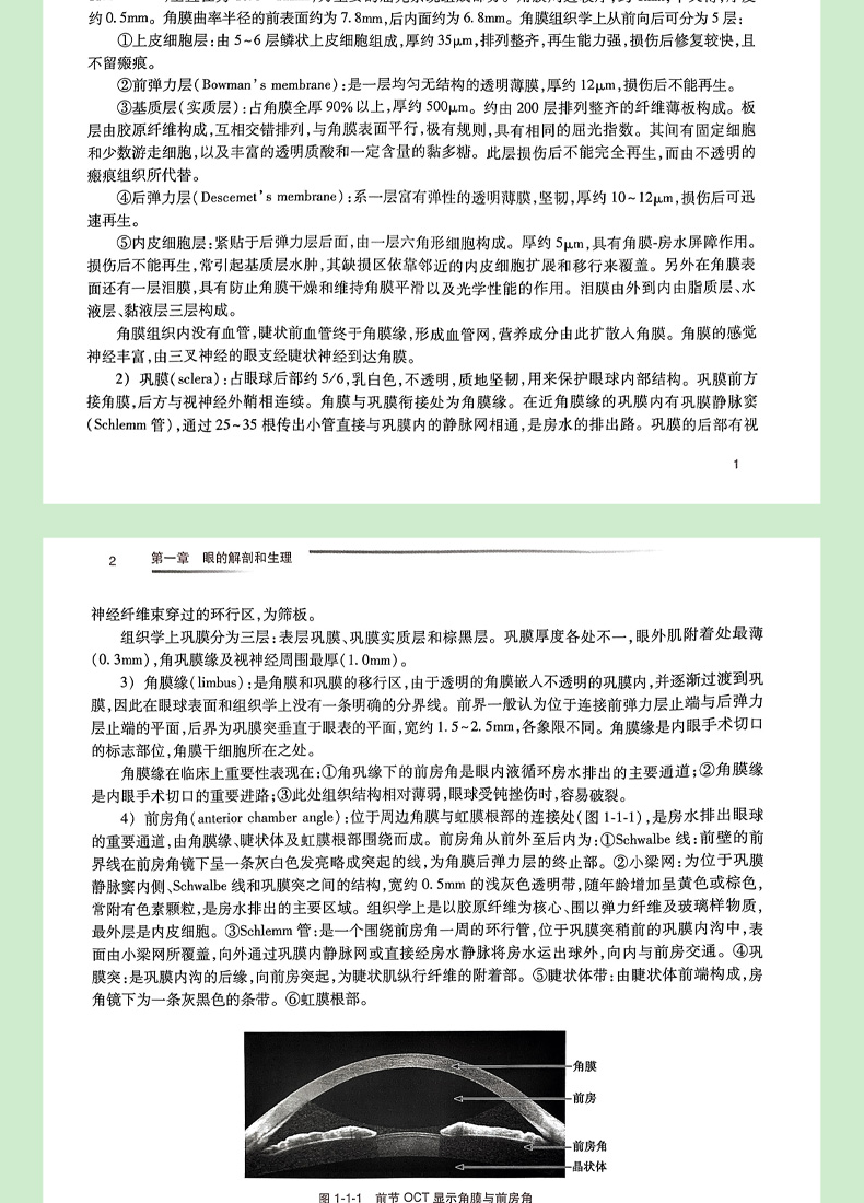 9787117297585全国高级卫生专业技术资格考试指导眼科学-详情_07.jpg
