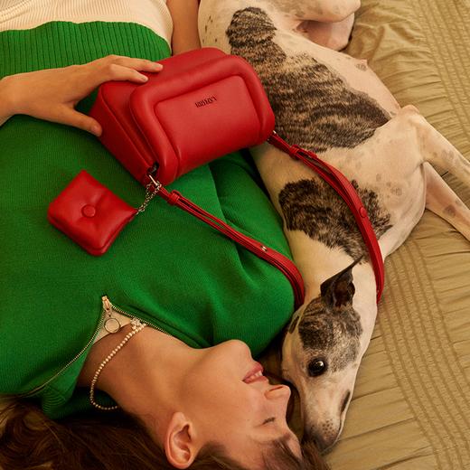 疯抢中！！明星爆款!【拉菲斯汀 LA FESTIN】2023新款时尚潮流包包 单肩斜挎法式小众腋下包(七夕情人节送礼) 商品图13