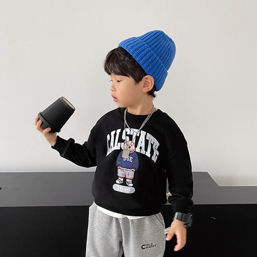 【时尚男童❗️卫衣儿童打底衫】秋装男宝宝长袖上衣秋男婴童装男士父亲节礼物新年礼盒年货礼盒 商品图3