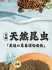 稚龟粮全新升级40%蛋白，稚龟粮 幼龟粮 成龟粮 商品缩略图4