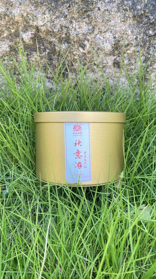 【戏球名茶】 秋意浓.奇兰后代  （花果香） 商品图3