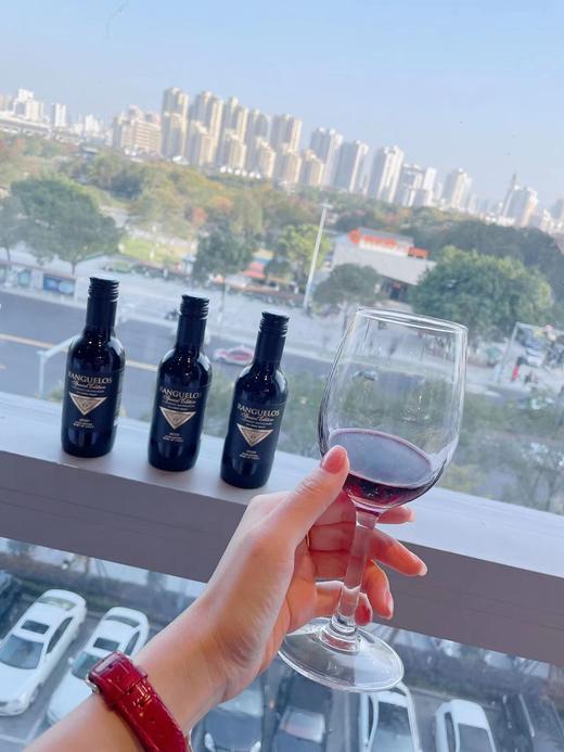 晚安酒捡漏断货王还送超美星空礼盒晚安酒拉佩尔山谷赤霞珠187.5ml*6支礼盒装 商品图3