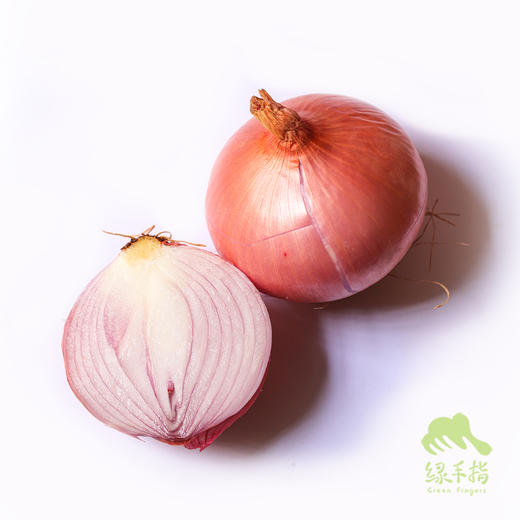 生态陕西洋葱 | 合作生产*Eco-onion | Coproduction 商品图0