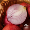 生态陕西洋葱 | 合作生产*Eco-onion | Coproduction 商品缩略图2