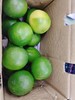 青柠檬一箱（拼团） 商品缩略图3