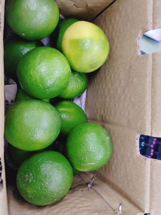 青柠檬一箱（拼团） 商品图3
