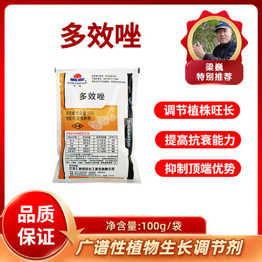 15%多效唑   200克/袋 商品图0
