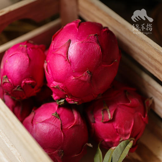 生态火龙果（四川，中通或京东空运） | 合作生产* Ecological Pitaya | Partner Production 商品图2