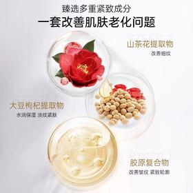 山茶臻颜紧致润颜乳