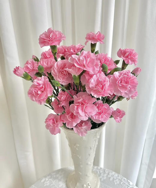 【稀有系列】多丁康乃馨~珍珠粉  约18-20枝/扎 商品图1