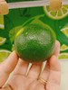 青柠檬一箱（拼团） 商品缩略图4
