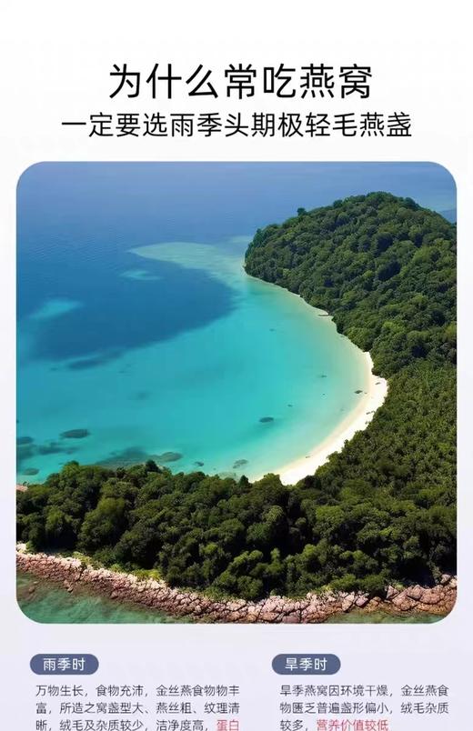 艾尚燕干燕窝干盏50g印尼进口溯源5星级孕妇女性官方旗舰店正品 商品图3