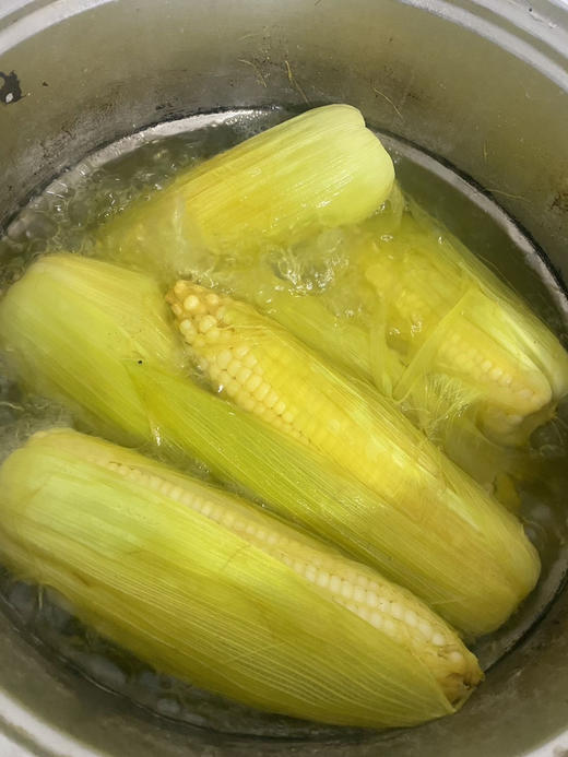 本地农科院336玉米🌽成熟，甜+糯，颗粒饱满，早上掰，下午配送！有机种植！5根/袋 商品图2