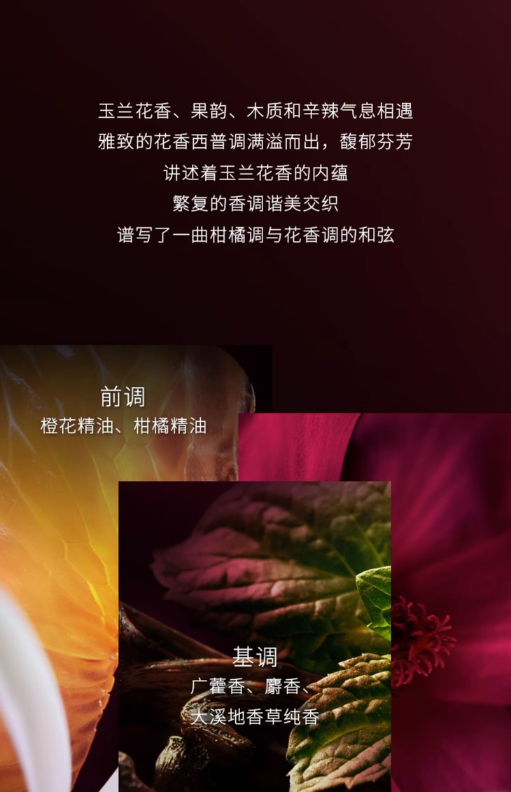 O1CN01ZZTYcK2AqqNYSLYWL_!!2207670858255.jpg (1500Ã�2322)