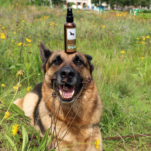 德国 里拉爱它 LILA LOVES IT体外驱虫喷雾100ml 商品图4