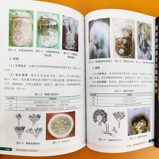图说食用菌生态栽培技术 商品图5