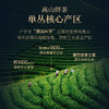 华祥苑凤凰单丛 贵宾茶凤凰单丛鸭屎香潮州凤凰单枞 商品缩略图4