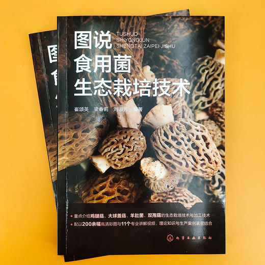 图说食用菌生态栽培技术 商品图1