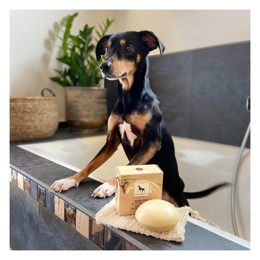 德国 里拉爱它 LILA LOVES IT橄榄皂135g 商品图3