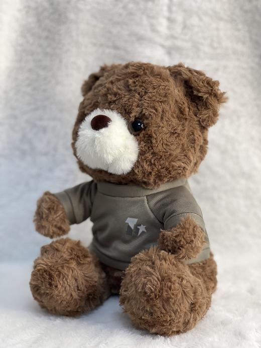 【体能小熊公仔】体能小熊公仔23cm毛绒公仔陪伴公仔送1个日富一日帆布袋y 商品图7