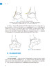 踝关节镜基础 潘海乐 华英汇 关节镜基本技术系列 临床常见疾病关节镜下治疗要点 手术特点必要准备 人民卫生出版社9787117347334 商品缩略图4