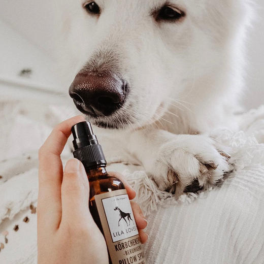 德国 里拉爱它 LILA LOVES IT安适喷雾50ml 商品图5