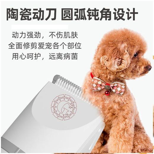 宠物电推剪多刀头剃毛器CK-1000家庭推荐宠物电推 商品图3