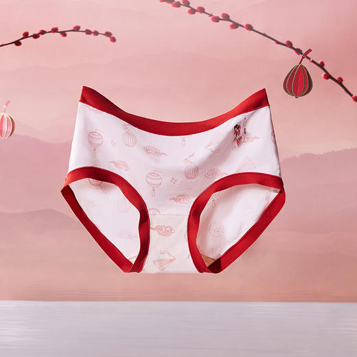 都市丽人时尚系列锦泳磨毛薄透丝滑低腰平角女士内裤LK35J8 商品图1