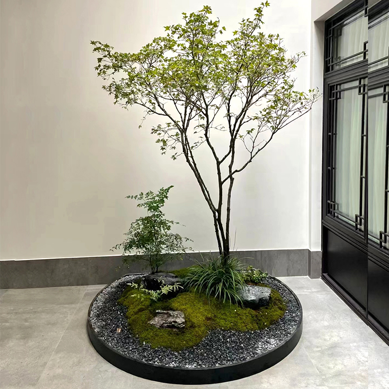 新中式植物造景款-1份室内好养植物日式风格造景定制公司前台家里阳台庭院花园设计上门布置