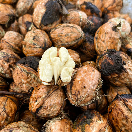 『攀枝花老树鲜核桃』鲜嫩清甜 细腻雪白 商品图3