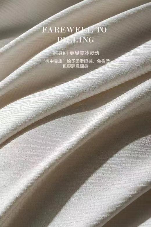 窈窕淑女四件套纯棉 商品图4