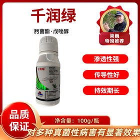 千润绿  肟菌酯·戊唑醇  100毫升/瓶