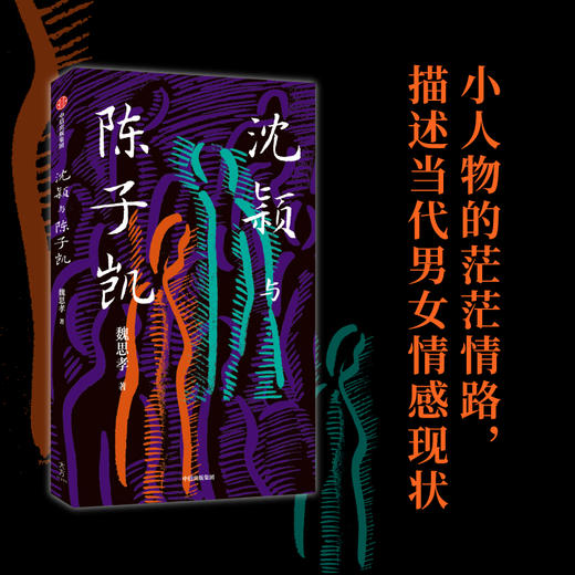 沈颖与陈子凯 魏思孝著 王能好作者 魏思孝长篇新作 以真实案件为原点 探究普通人的灵魂深渊 商品图1