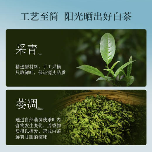 华祥苑 贵宾茶 白茶 贡眉 礼盒装 160g 商品图5