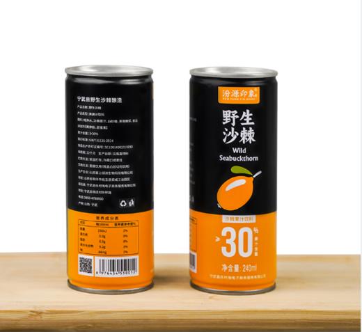 汾源印象 沙棘饮料 240ml 8罐装 商品图4